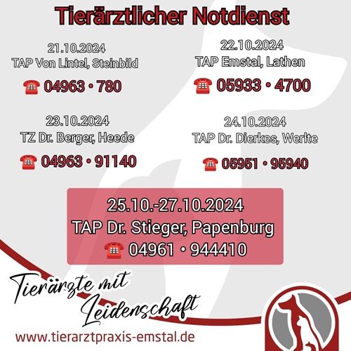 Notdienst Lathen Emsland Tierarzt Tierarztpraxisemstal TierärztemitLeidenschaft