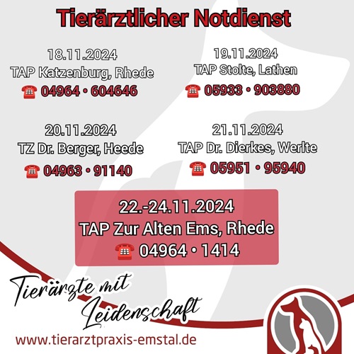 Notdienst Lathen Emsland Tierarzt Tierarztpraxisemstal TierärztemitLeidenschaft