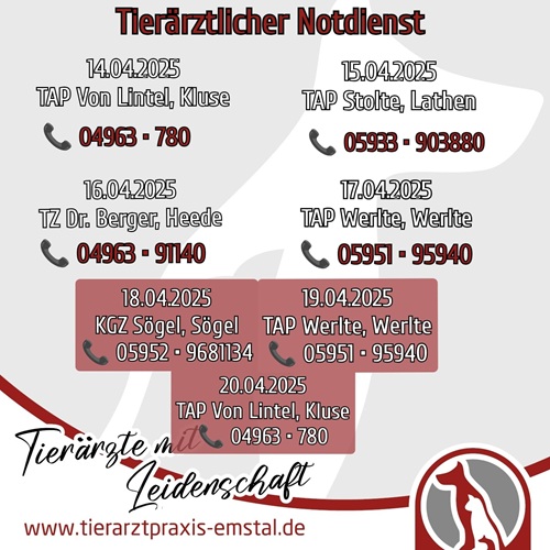 Notdienst Lathen Emsland Tierarzt Tierarztpraxisemstal TierärztemitLeidenschaft