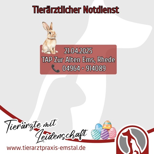 tierarztpraxisemstal tierärztemitleidenschaft lathen emsland