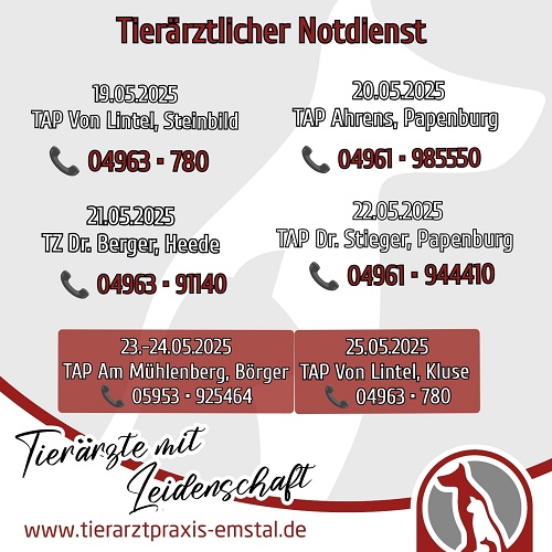 Notdienst Lathen Emsland Tierarzt Tierarztpraxisemstal TierärztemitLeidenschaft