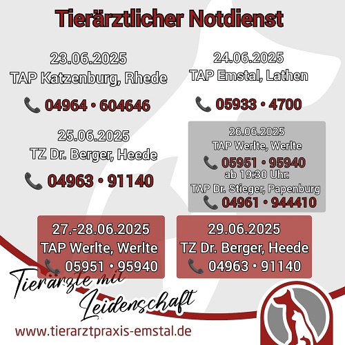 tierarztpraxisemstal tierärztemitleidenschaft