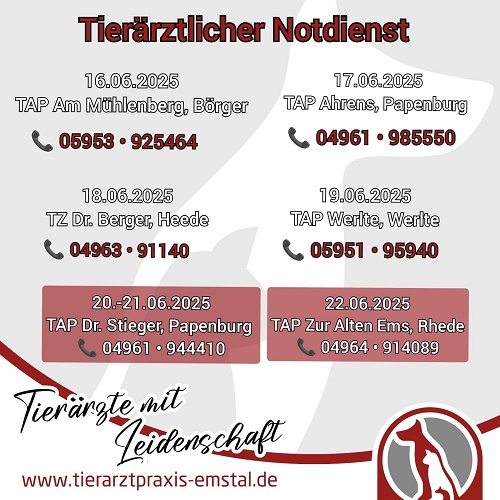 notdienst