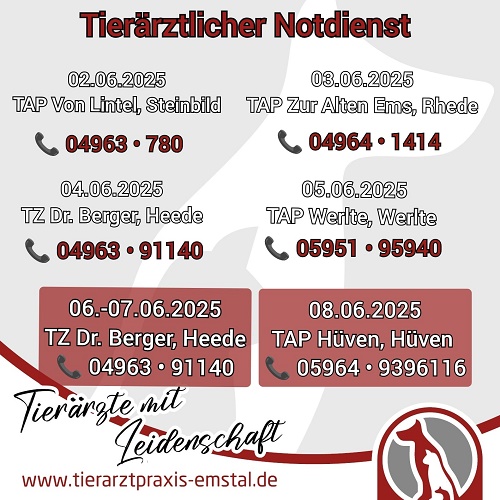 Notdienst Lathen Emsland Tierarzt Tierarztpraxisemstal TierärztemitLeidenschaft