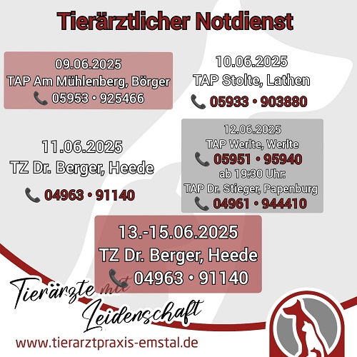 tierarztpraxisemstal tierärztemitleidenschaft lathen emsland