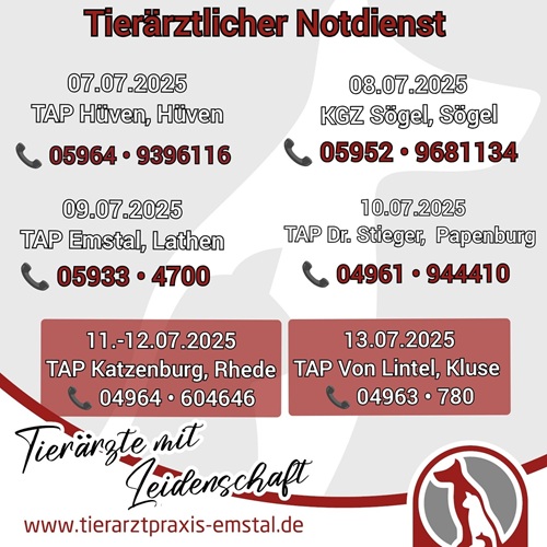 tierarztpraxis emstal tierärzte mit leidenschaft emsland lathen notdienstplan
