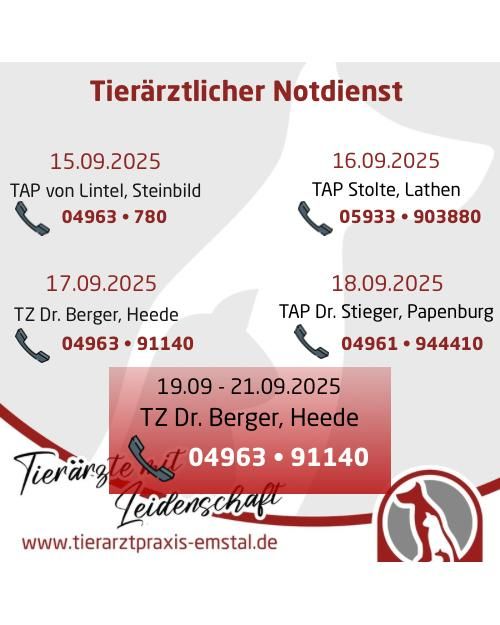 Notdienst Lathen Emsland Tierarzt Tierarztpraxisemstal TierärztemitLeidenschaft