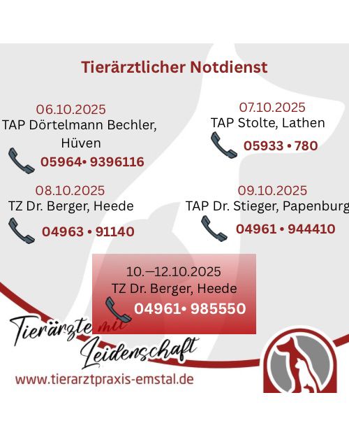 Notdienst Lathen Emsland Tierarzt Tierarztpraxisemstal TierärztemitLeidenschaft