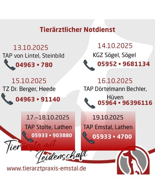 Notdienst Lathen Emsland Tierarzt Tierarztpraxisemstal TierärztemitLeidenschaft