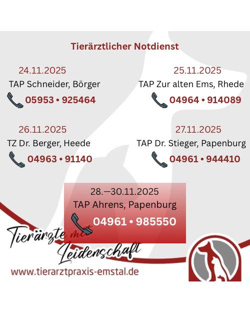 Notdienst Lathen Emsland Tierarzt Tierarztpraxisemstal TierärztemitLeidenschaft