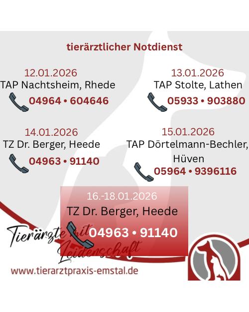 Notdienst Lathen Emsland Tierarzt Tierarztpraxisemstal TierärztemitLeidenschaft
