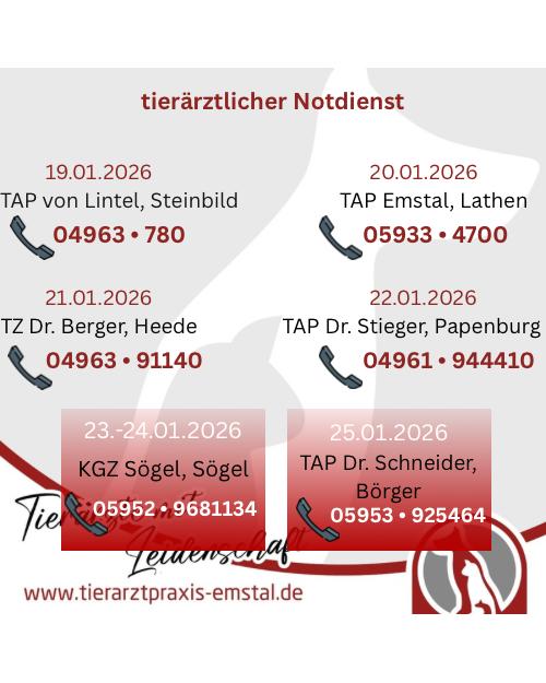 Notdienst Lathen Emsland Tierarzt Tierarztpraxisemstal TierärztemitLeidenschaft