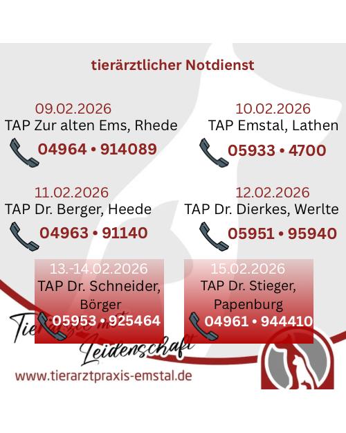 Notdienst Lathen Emsland Tierarzt Tierarztpraxisemstal TierärztemitLeidenschaft