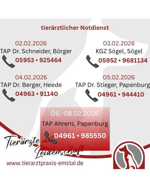 Notdienst Lathen Emsland Tierarzt Tierarztpraxisemstal TierärztemitLeidenschaft