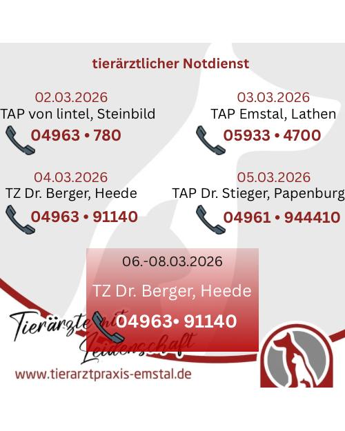 Notdienst Lathen Emsland Tierarzt Tierarztpraxisemstal TierärztemitLeidenschaft