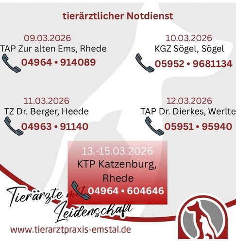 Notdienst Tierarzt Notfall März