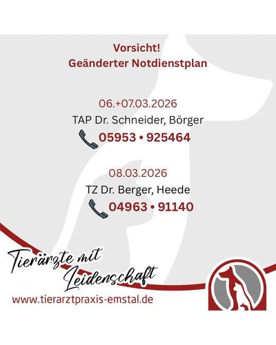 Notdienst Wochenende Tierarzt