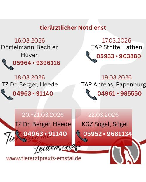 Notdienst Lathen Emsland Tierarzt Tierarztpraxisemstal TierärztemitLeidenschaft