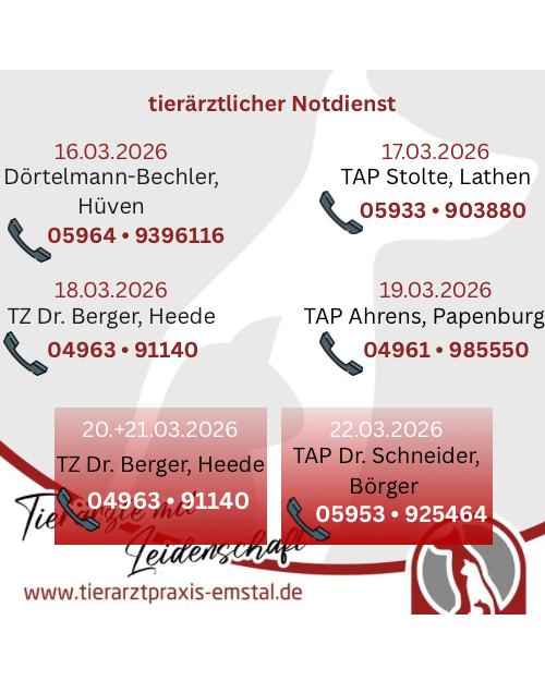 Notdienst Lathen Emsland Tierarzt Tierarztpraxisemstal TierärztemitLeidenschaft
