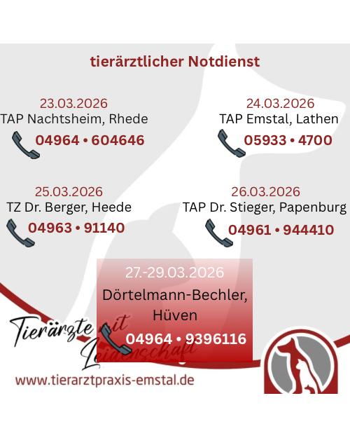 Notdienst Lathen Emsland Tierarzt Tierarztpraxisemstal TierärztemitLeidenschaft