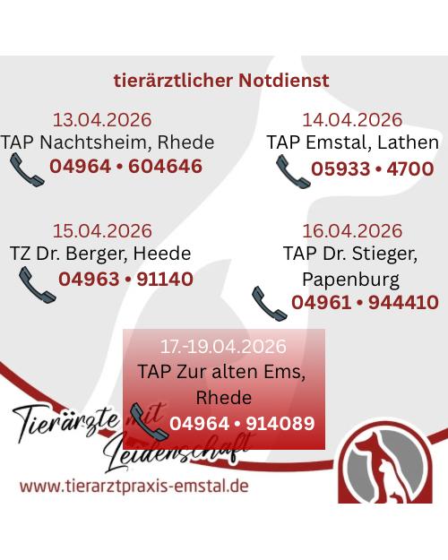 Notdienst Lathen Emsland Tierarzt Tierarztpraxisemstal TierärztemitLeidenschaft