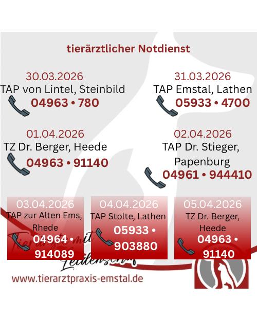 Notdienst Lathen Emsland Tierarzt Tierarztpraxisemstal TierärztemitLeidenschaft
