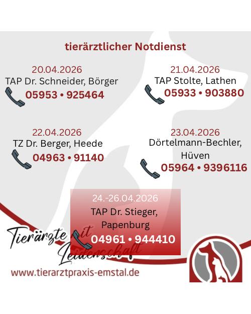 Notdienst Lathen Emsland Tierarzt Tierarztpraxisemstal TierärztemitLeidenschaft