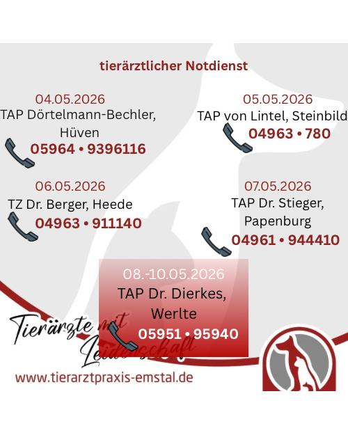 Notdienst Lathen Emsland Tierarzt Tierarztpraxisemstal TierärztemitLeidenschaft