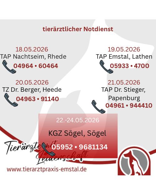 Notdienst Lathen Emsland Tierarzt Tierarztpraxisemstal TierärztemitLeidenschaft