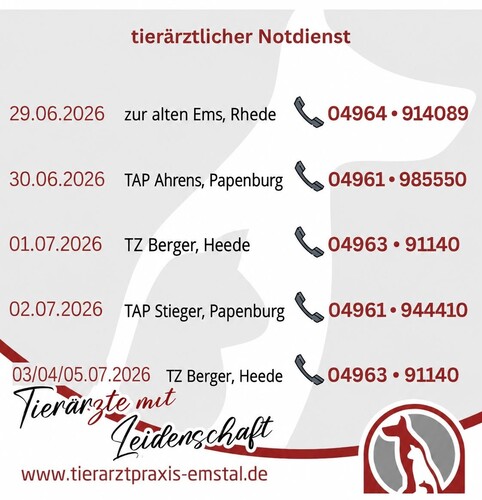 Notdienst Lathen Emsland Tierarzt Tierarztpraxisemstal TiermedizinLeidenschaft