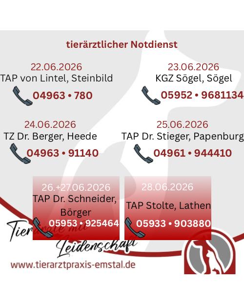 Notdienst Lathen Emsland Tierarzt Tierarztpraxisemstal TierärztemitLeidenschaft