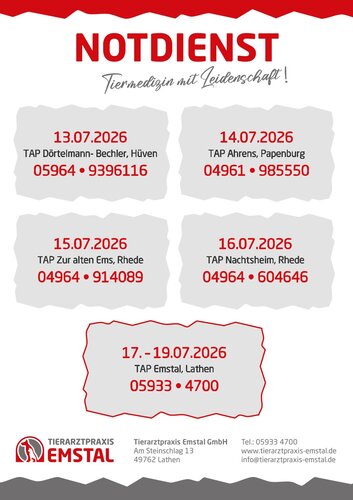 Notdienst Tierarzt Notfall Juli Tierarztpraxis Emstal Lathen