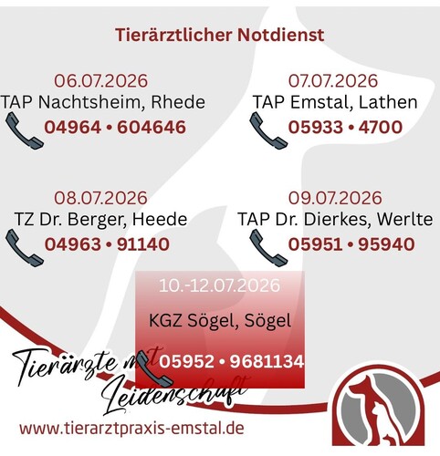 Notdienst Tierarzt Notfall Juli tierärztlicher Notdienst Tierarztpraxis Emstal Lathen