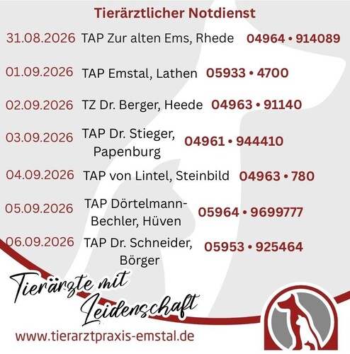 Notdienst Tierarzt Emstal Lathen Notfall 