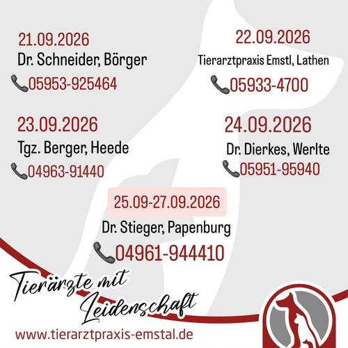 Notdienst Tierarzt Emstal Lathen Notfall 