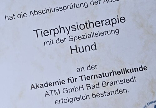 Physiotherapie Hund Tierarztpraxis Emstal