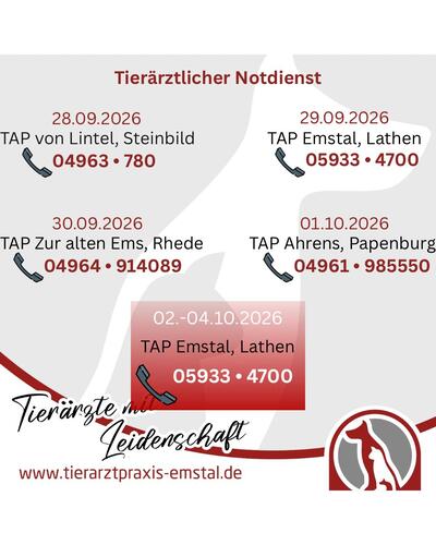 Notdienst Tierarzt Emstal Lathen Notfall