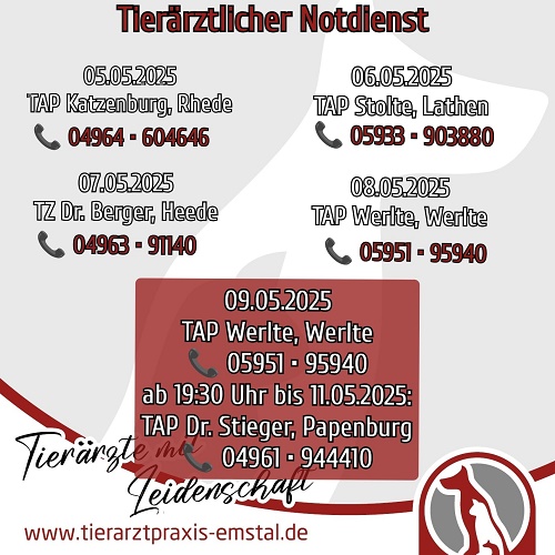 tierärztemitleidenschaft tierärztlicher notdienst emsland lathen emstal