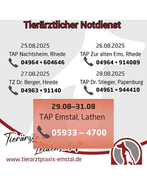 NOTDIENST
