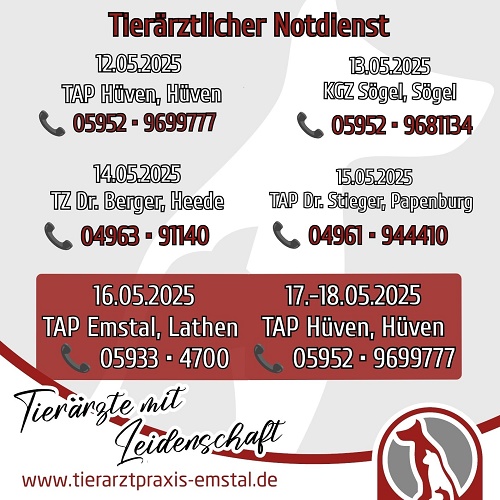 tierarztpraxis emstal tierärztemitleidenschaft notdienstplan